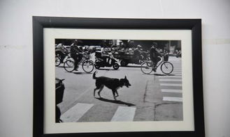 將畢業(yè)展辦成藝博會 山東工藝美術(shù)學(xué)院2015設(shè)計藝術(shù)博覽會工藝美術(shù)設(shè)計展的革新實踐